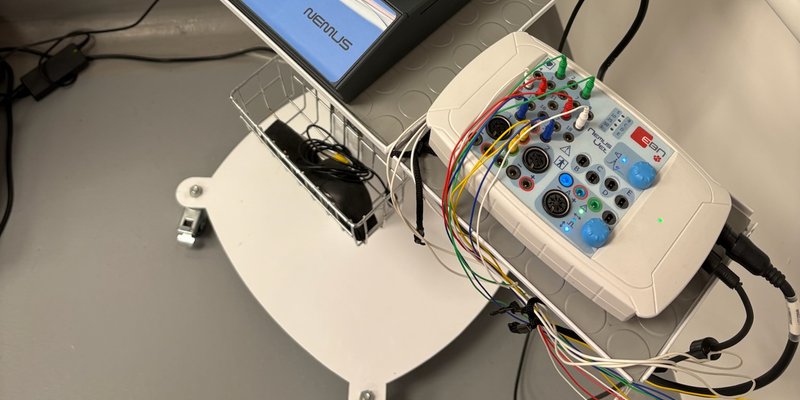 Evcil Hayvanlarda EEG